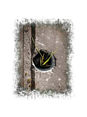 ASPIRATION - natuur art foto - 40x60cm