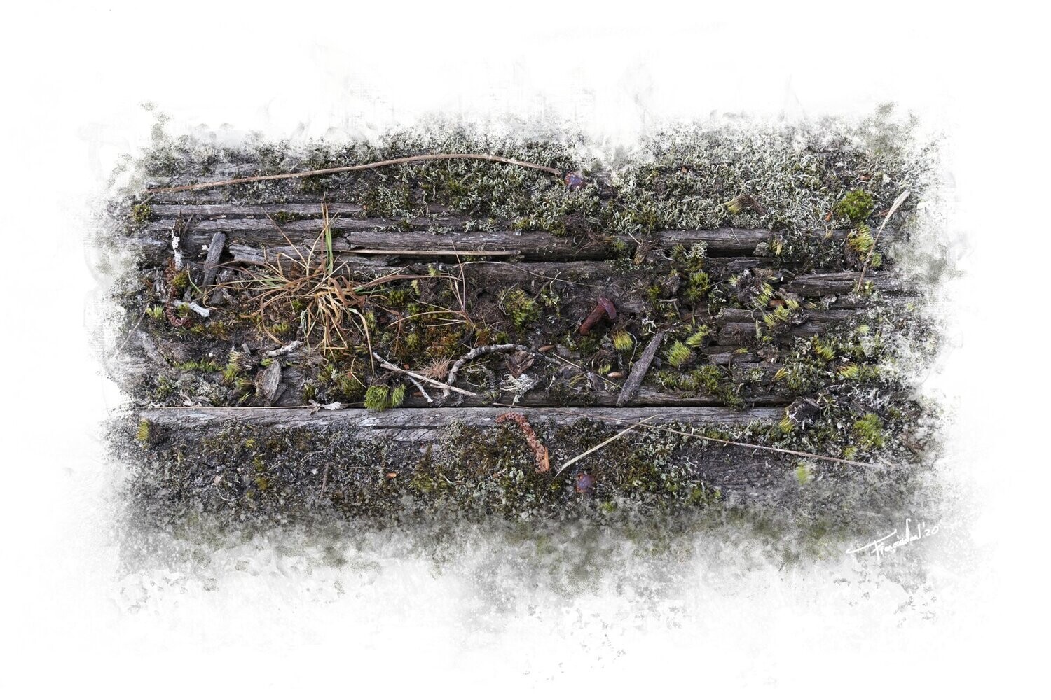 REBELLION - fine art natuur versus mens fotografie - 60x40cm