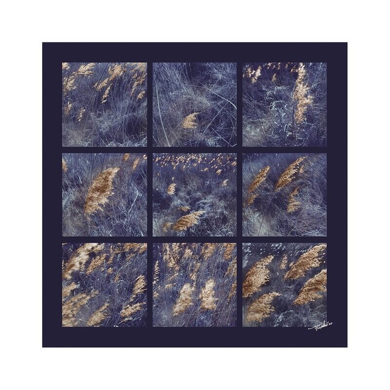 Flora fotografie - Will of the WInd - fine art on aluminium - 100x100cm