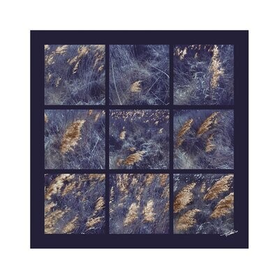 Flora fotografie - Will of the WInd - fine art on aluminium - 100x100cm