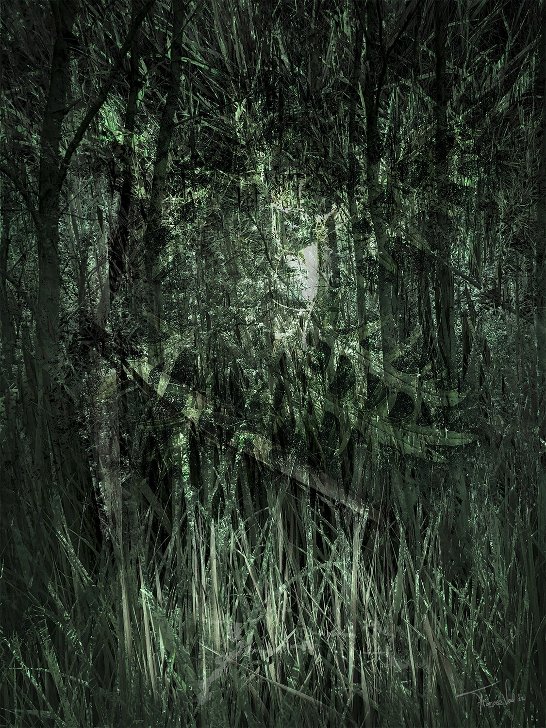 WOOD SPIRIT  - digitale kunst - 50x70cm