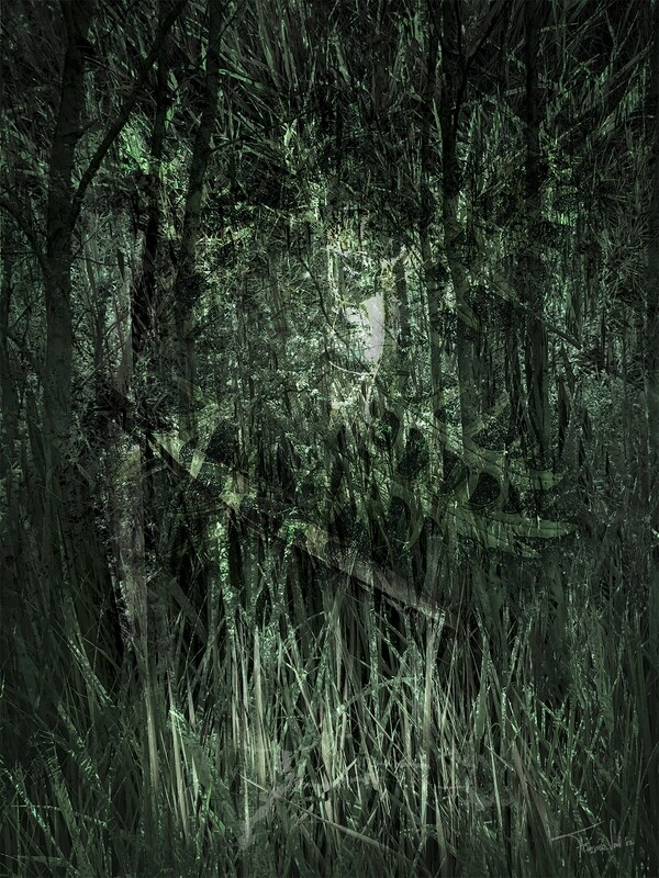 WOOD SPIRIT  - digitale kunst - 50x70cm