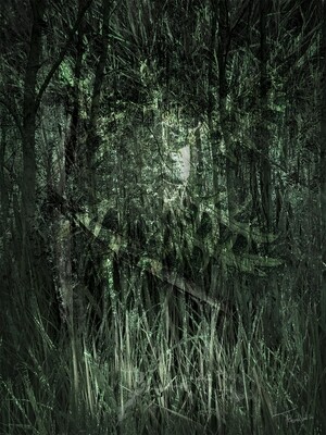 WOOD SPIRIT  - digitale kunst - 50x70cm
