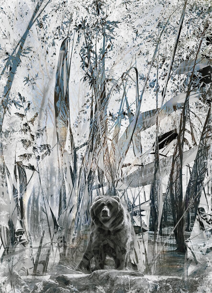 ROAM FREE - Grizzly bear kunst fotografie collage - 70x90cm