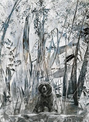 Bear art - ROAM FREE - Grizzly bear photography collage - 100x140cm