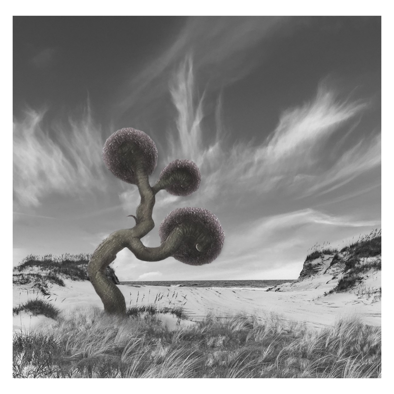 Mysterious Beach Life - fantasy artwork - 90x90cm