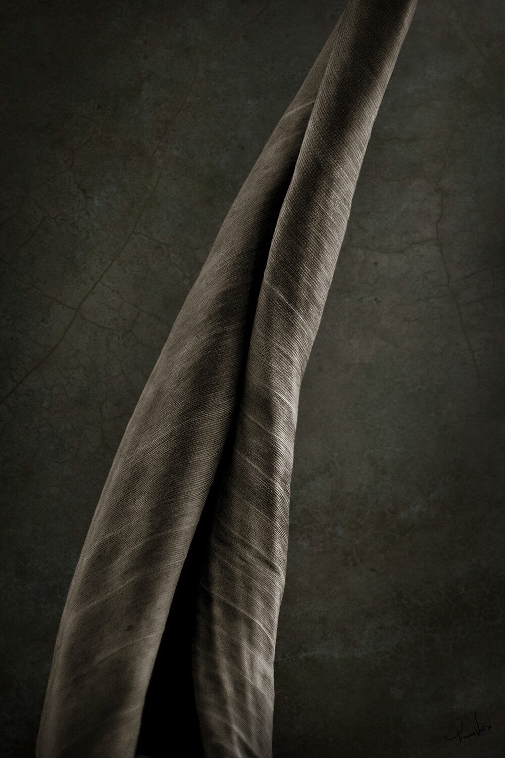 Tenacious - fine art botanische closeup fotografie - 60x90cm