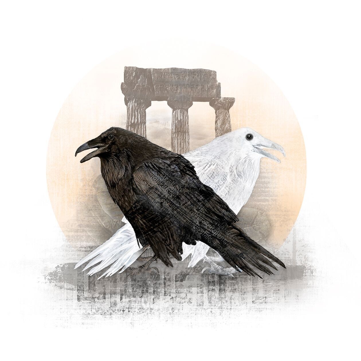 photo illustration - TRUTH - Ravens - art print - 40x40cm