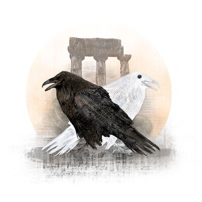 TRUTH - Ravens - photo illustration digital art - 40x40cm