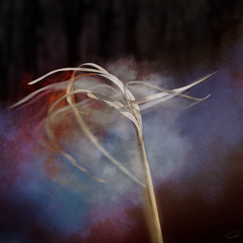 BREAKDANCE - botanical fine art photography print - 60x60cm