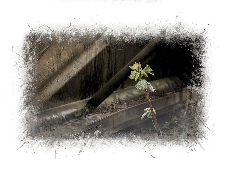 INDURATION - The Final Takeover pt. 10 - nature and steel - 60x45cm