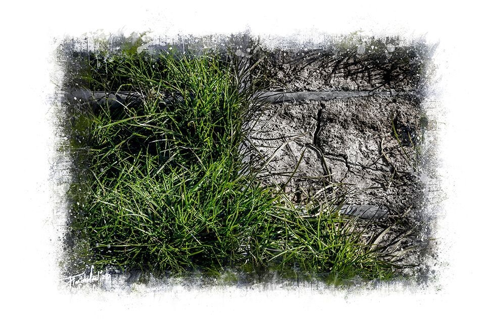 DOMINATION - The Final Takeover pt.15 - natuur versus staal fotografie