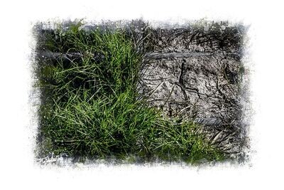 DOMINATION – The Final Takeover Pt.15 – Nature vs. Steel Photography DOMINATION – The Final Takeover Pt.15 – Nature vs. Steel Photography