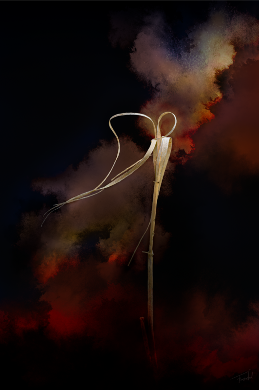 VOGUE - Dances - reed fine art photography print 60x90cm