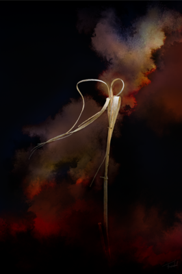 VOGUE - Dances - reed fine art photography print 60x90cm