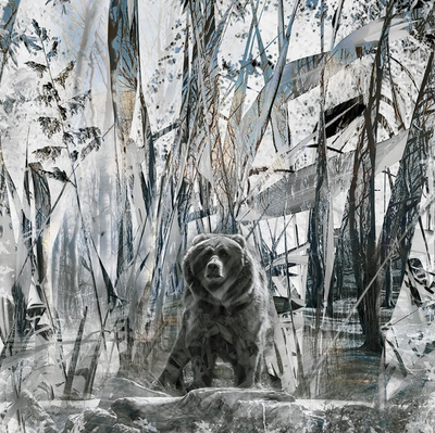 Fotocollage kunstwerk van een Grizzly beer gemaakt door Françoise Vaal