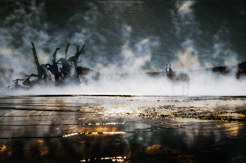 Collage  - THE BRAVE - A Mystical Mixed Media Horse Collage (105x70cm, Limited Edition)