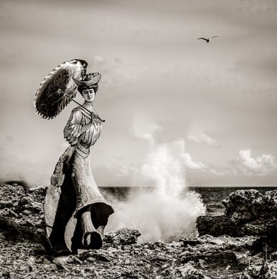 The harder the shell - digital collage - high quality print The harder the shell - digital collage - high quality print