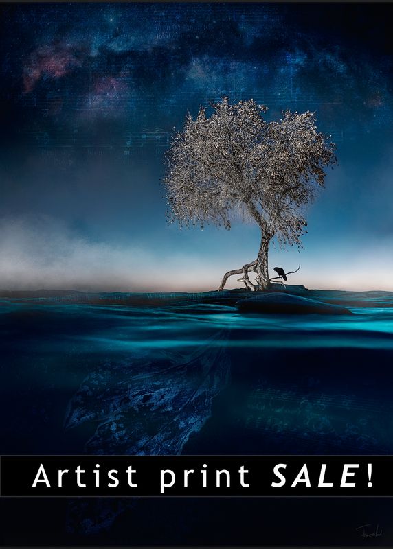 Refuge - Artist print sale on forex - ready to hang