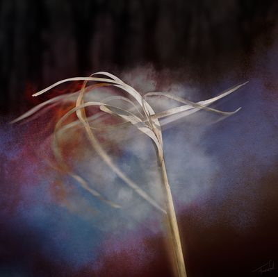 Fine Art Photography – BREAKDANCE – Fine Art Print – 40x40cm