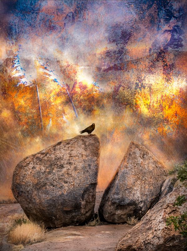 Raven Artwork - DE PROFEET – Een Visionair Raaf Kunstwerk Print (75x100cm, Limited Edition)