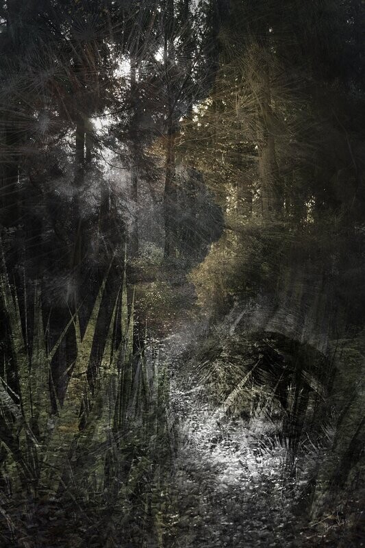 Fine art landschap - TREAD LIGHTLY - exclusieve fine art landschap foto collage - 100x150cm
