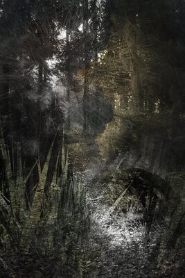 Fine art landschap - TREAD LIGHTLY - exclusieve fine art landschap foto collage - 100x150cm Fine art landschap - TREAD LIGHTLY - exclusieve fine art landschap foto collage - 100x150cm