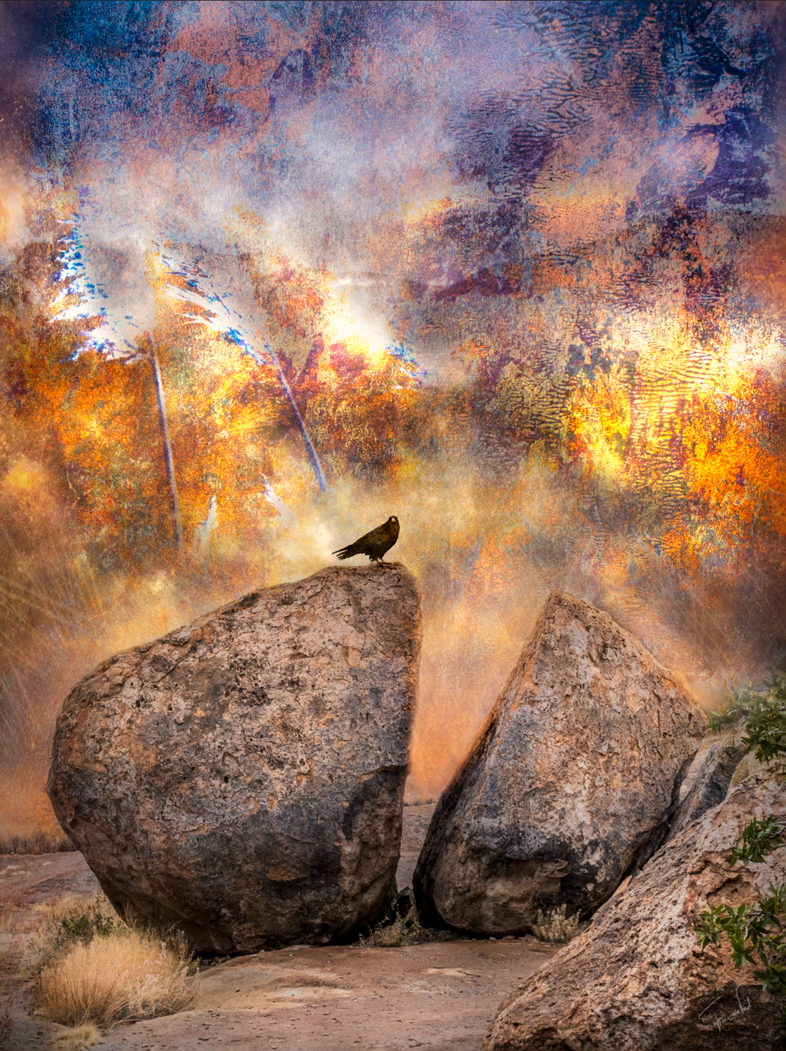 Raven Artwork - DE PROFEET – Een Visionair Raaf Kunstwerk Print (75x100cm, Limited Edition) Raven Artwork - DE PROFEET – Een Visionair Raaf Kunstwerk Print (75x100cm, Limited Edition)