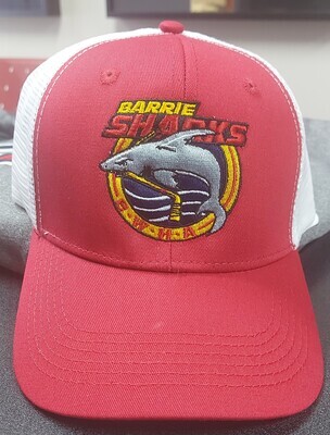 Baseball Hat - BWHA Logo - Red/White - Snapback