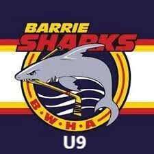 U9 - 1 THORNTON