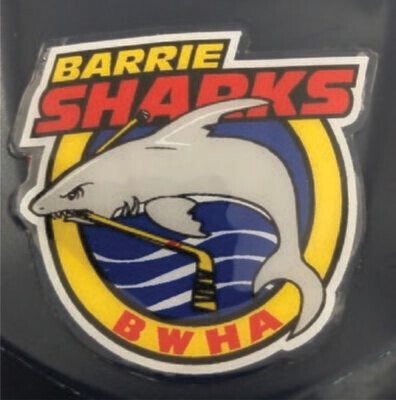 Helmet Sticker - BWHA Logo - Team Set