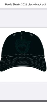 "NEW" BWHA Logo'd Black hat