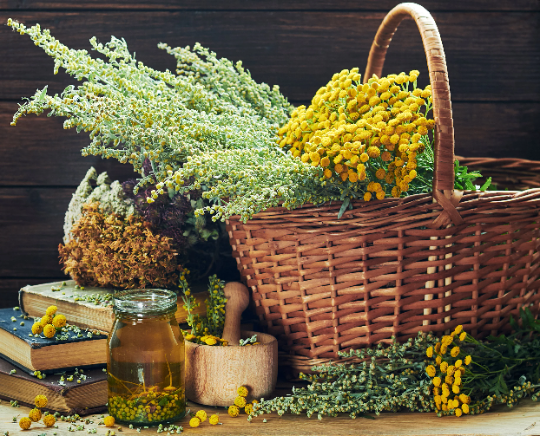 St John Wort dried, hypericum, herb, tea, 85gr