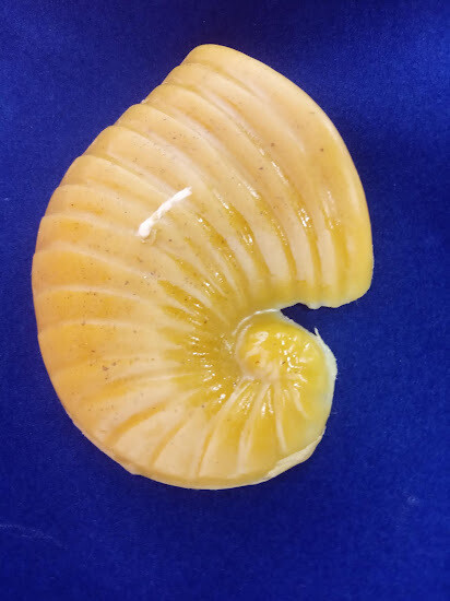 Pure beeswax handmade sea shell candle