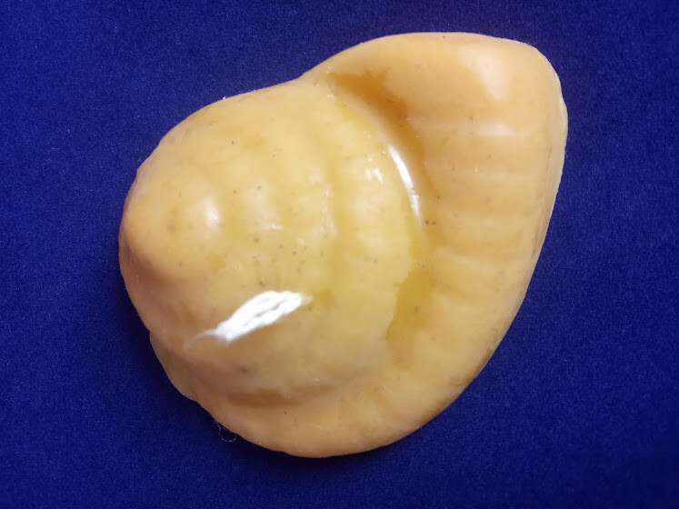 Pure beeswax handmade sea shell candle