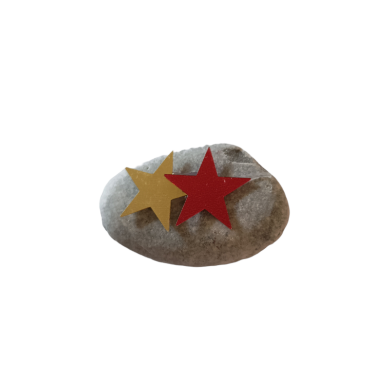 Sea stone with stars