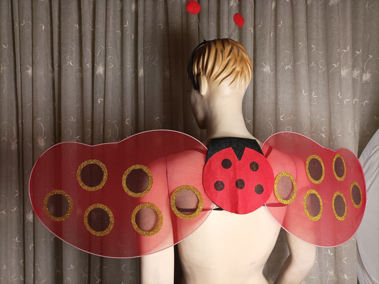 Lovebug Wings set