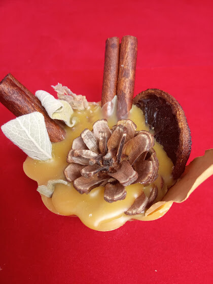 Pure Beeswax botanical decorative  firestarter