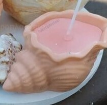 Sea shell candle, 11x7x5cm