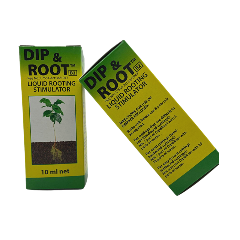 Dip &amp; Root