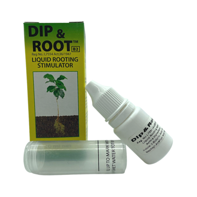 Dip & Root (10ml)