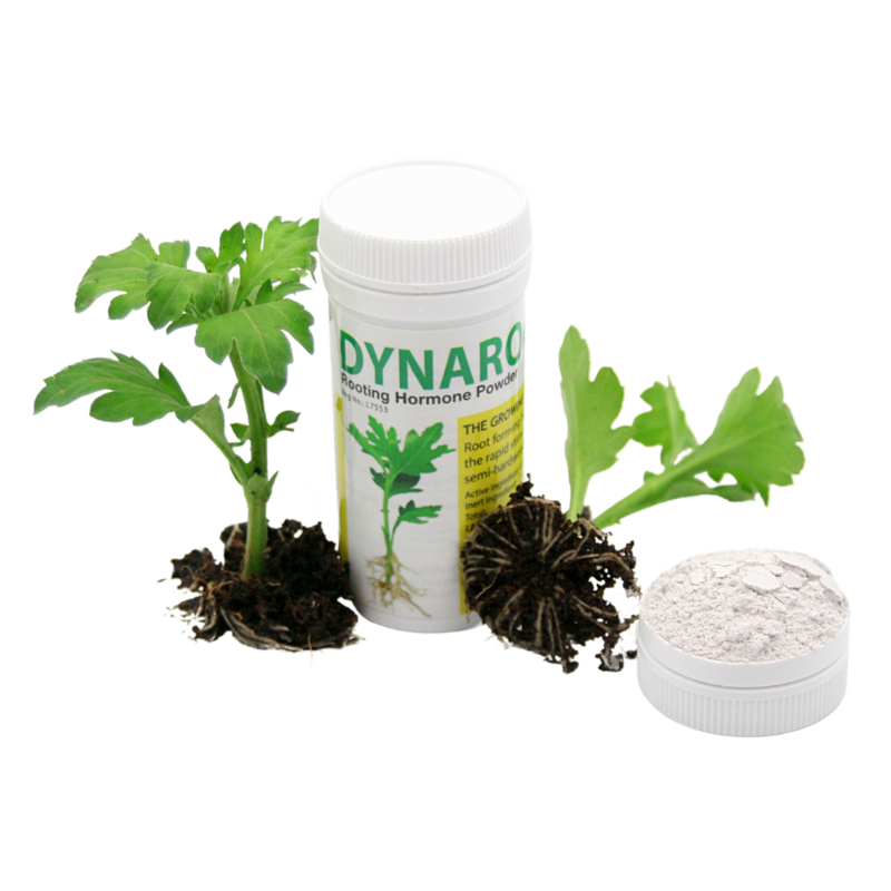 DynaRoot Powder