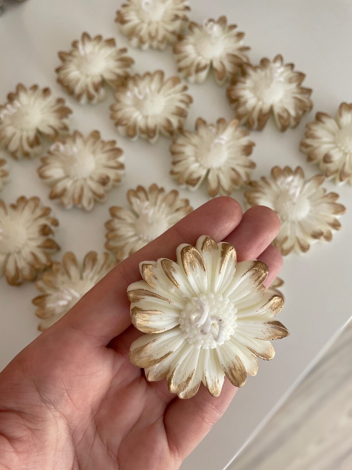 Zahvalnice DAISY  već od 2,90 Eur