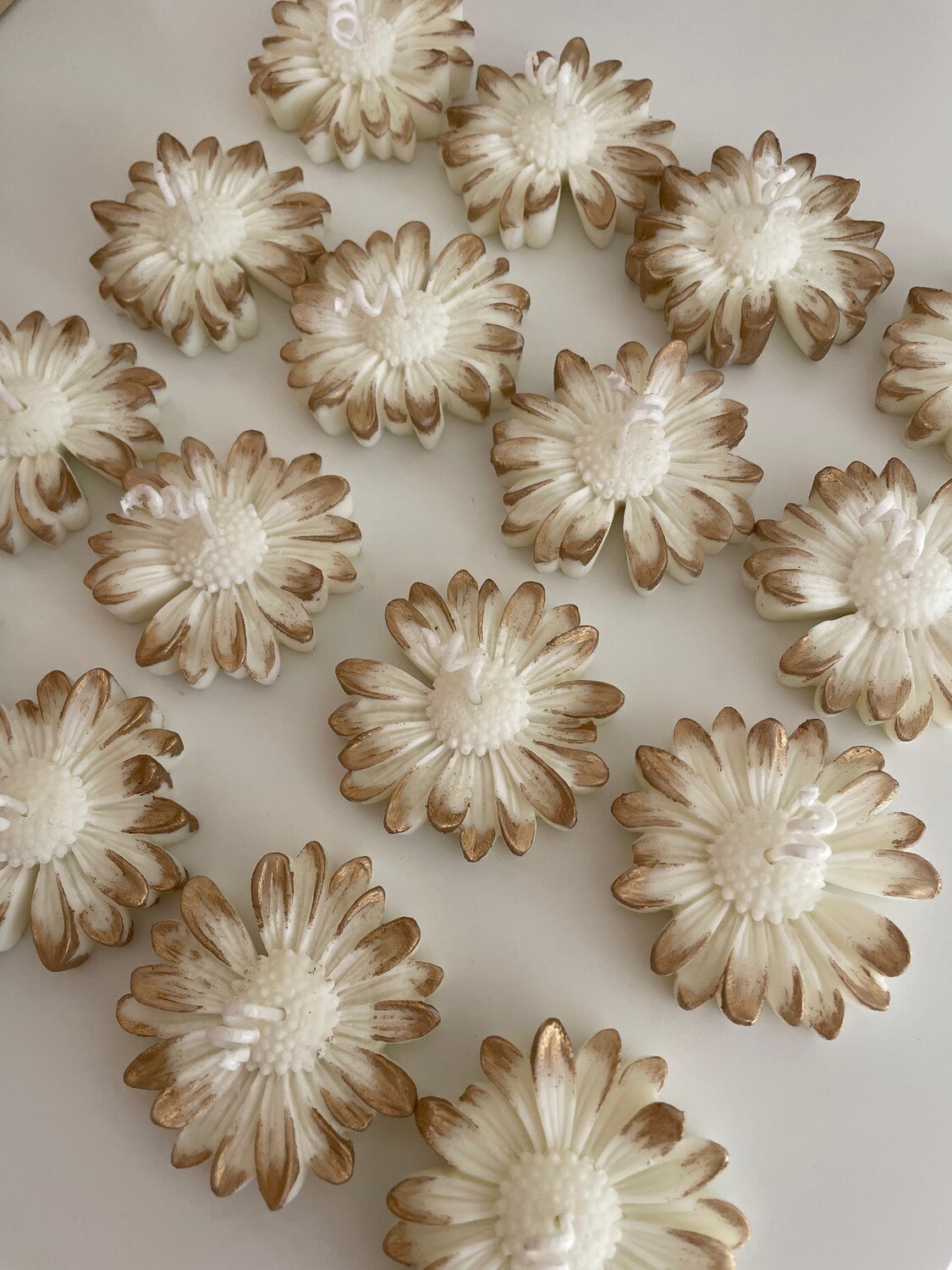 Zahvalnice DAISY  već od 2,90 Eur