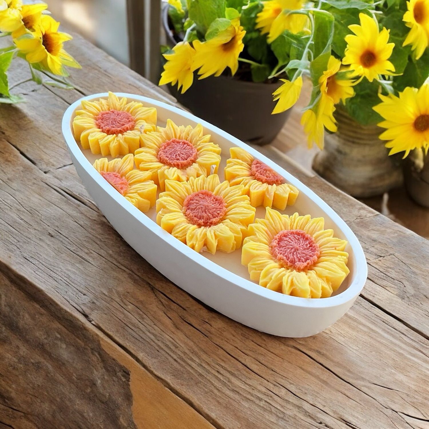 SUNFLOWER