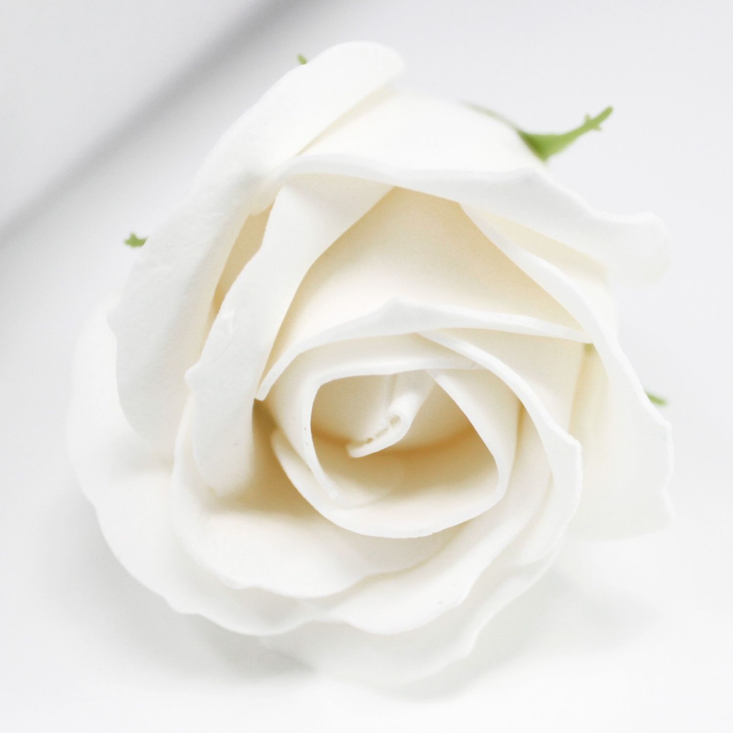 Zahvalnice SOAP ROSE već od 1,70 Eur