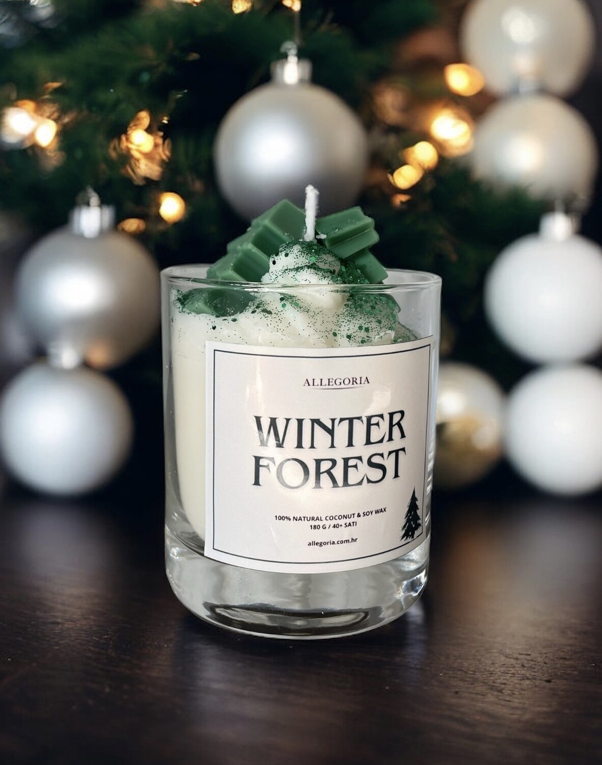 WINTER FOREST
