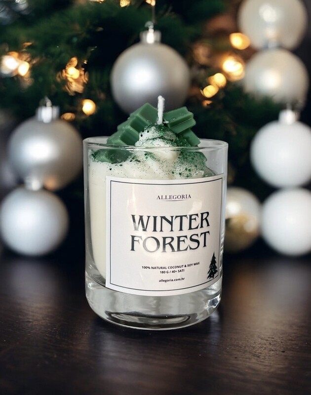 WINTER FOREST