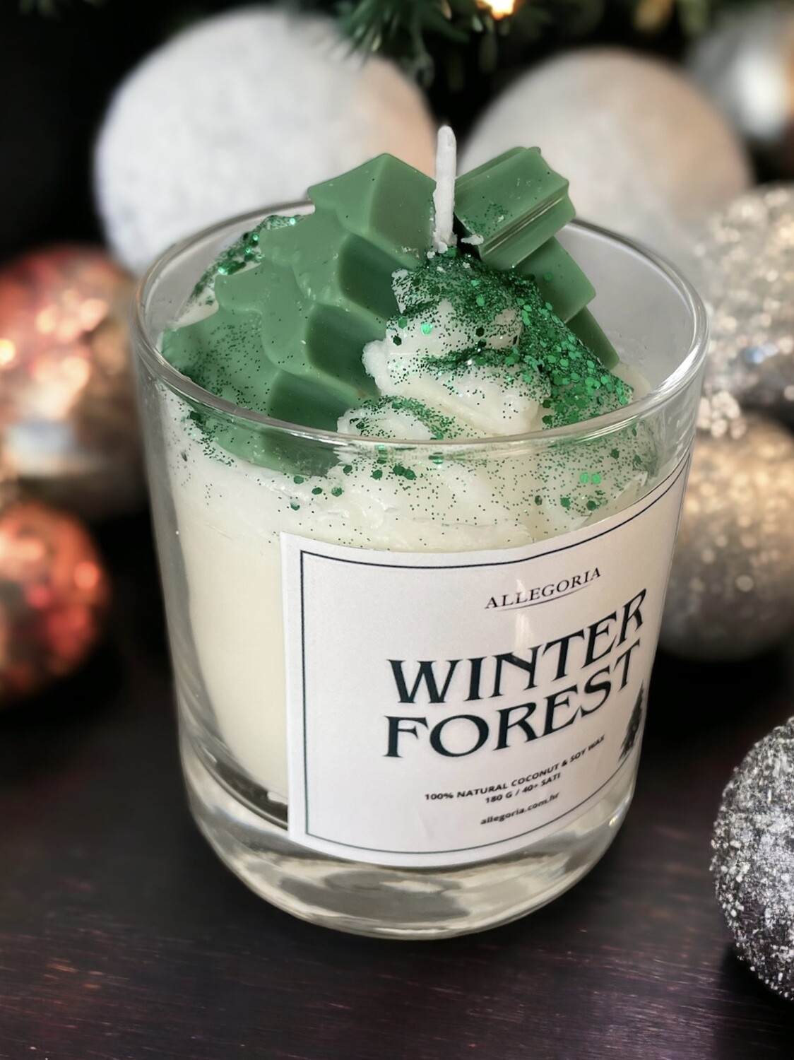 WINTER FOREST
