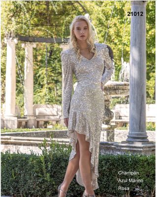 Vestido de Fiesta/invitada